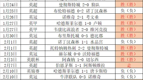 亚残会杭州观：爱心之都无障碍通行，中新网报道